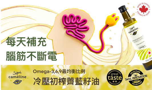 常見的食用油營養 Omega 3, 6, 9 比例